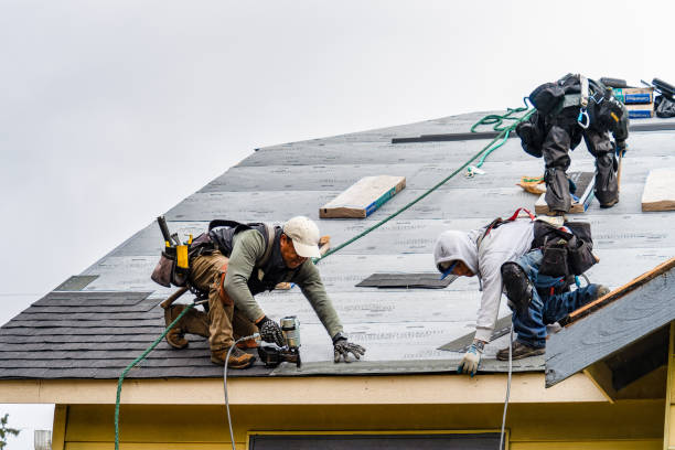 Professional Gutter Installation technician working in Carlos, MN